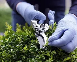 Jardineiro de luvas podando uma sebe com tesoura de poda